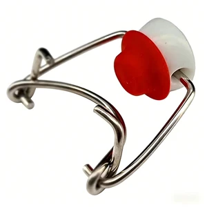 glasflasche-buegelverschluss